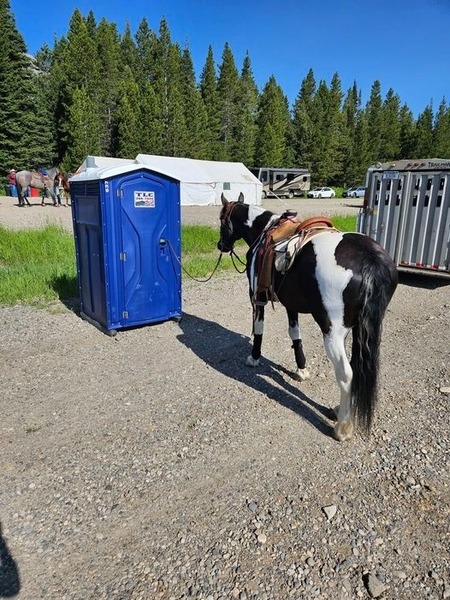 portable toilets